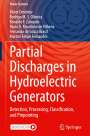 Victor Dmitriev: Partial Discharges in Hydroelectric Generators, Buch