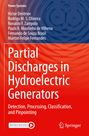 Victor Dmitriev: Partial Discharges in Hydroelectric Generators, Buch