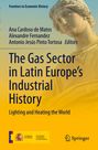 : The Gas Sector in Latin Europe's Industrial History, Buch