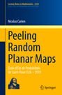 Nicolas Curien: Peeling Random Planar Maps, Buch