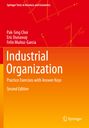 Pak-Sing Choi: Industrial Organization, Buch