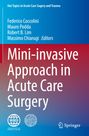 : Mini-invasive Approach in Acute Care Surgery, Buch