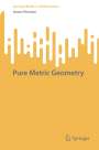 Anton Petrunin: Pure Metric Geometry, Buch