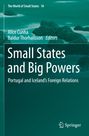 : Small States and Big Powers, Buch