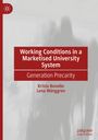 Lena Wånggren: Working Conditions in a Marketised University System, Buch