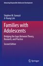 Ji-Young Lim: Families with Adolescents, Buch