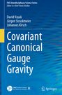 David Vasak: Covariant Canonical Gauge Gravity, Buch