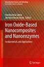: Iron Oxide-Based Nanocomposites and Nanoenzymes, Buch
