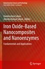 : Iron Oxide-Based Nanocomposites and Nanoenzymes, Buch