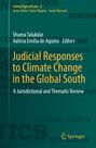 : Judicial Responses to Climate Change in the Global South, Buch