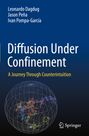 Leonardo Dagdug: Diffusion Under Confinement, Buch