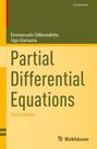 Ugo Gianazza: Partial Differential Equations, Buch