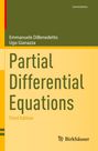 Ugo Gianazza: Partial Differential Equations, Buch