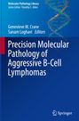 : Precision Molecular Pathology of Aggressive B-Cell Lymphomas, Buch