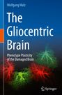 Wolfgang Walz: The Gliocentric Brain, Buch