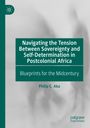 Philip C. Aka: Navigating the Tension Between Sovereignty and Self-Determination in Postcolonial Africa, Buch