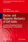 : Electro- and Magneto-Mechanics of Soft Solids, Buch