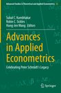 "Advances in Applied Econometrics: Celebrating Peter Schmidt's Legacy." Grüner Hintergrund mit Formeln und weißem Springer-Logo.