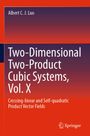 Albert C. J. Luo: Two-dimensional Two-product Cubic Systems Vol.II, Buch