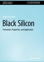 Gagik Ayvazyan: Black Silicon, Buch