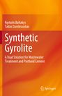 Tadas Dambrauskas: Synthetic Gyrolite, Buch