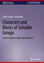 Yong Yang: Characters and Blocks of Solvable Groups, Buch
