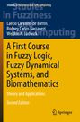 Laécio Carvalho de Barros: A First Course in Fuzzy Logic, Fuzzy Dynamical Systems, and Biomathematics, Buch