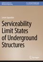 Levan Japaridze: Serviceability Limit States of Underground Structures, Buch