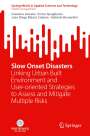 Graziano Salvalai: Slow Onset Disasters, Buch