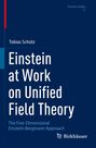 Tobias Schütz: Einstein at Work on Unified Field Theory, Buch