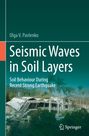 Olga V. Pavlenko: Seismic Waves in Soil Layers, Buch