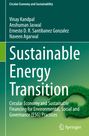 Vinay Kandpal: Sustainable Energy Transition, Buch