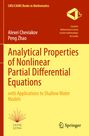Alexei Cheviakov: Analytical Properties of Nonlinear Partial Differential Equations, Buch