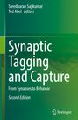 : Synaptic Tagging and Capture, Buch