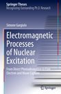 Simone Gargiulo: Electromagnetic Processes of Nuclear Excitation, Buch