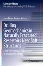 Juan Pedro Morales Salazar: Drilling Geomechanics in Naturally Fractured Reservoirs Near Salt Structures, Buch