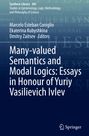 : Many-valued Semantics and Modal Logics: Essays in Honour of Yuriy Vasilievich Ivlev, Buch