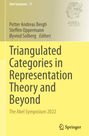 : Triangulated Categories in Representation Theory and Beyond, Buch