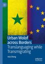 Aziz Dieng: Urban Wolof across Borders, Buch