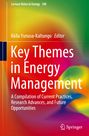 : Key Themes in Energy Management, Buch