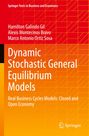 Hamilton Galindo Gil: Dynamic Stochastic General Equilibrium Models, Buch