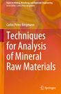 Carlos Pérez Bergmann: Techniques for Analysis of Mineral Raw Materials, Buch
