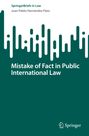 Juan Pablo Hernández Páez: Mistake of Fact in Public International Law, Buch