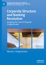 Marcelo J. Sheppard Gelsi: Corporate Structure and Banking Resolution, Buch
