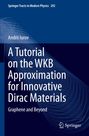 Text: "A Tutorial on the WKB Approximation for Innovative Dirac Materials: Graphene and Beyond" von Andrii Iurov. Abstraktes Muster, Springer-Logo.