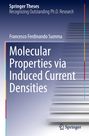 Francesco Ferdinando Summa: Molecular Properties via Induced Current Densities, Buch