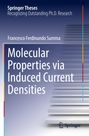 Francesco Ferdinando Summa: Molecular Properties via Induced Current Densities, Buch