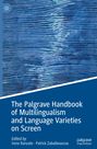 : The Palgrave Handbook of Multilingualism and Language Varieties on Screen, Buch