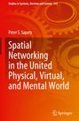 Peter S. Sapaty: Spatial Networking in the United Physical, Virtual, and Mental World, Buch