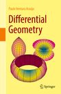 Paulo Ventura Araújo: Differential Geometry, Buch